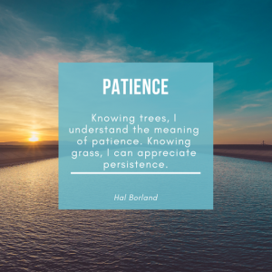 Cool Status about Patience