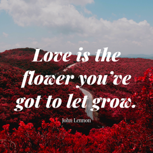 Best Quotes about awesome flowers love is the flower you've got to let grow